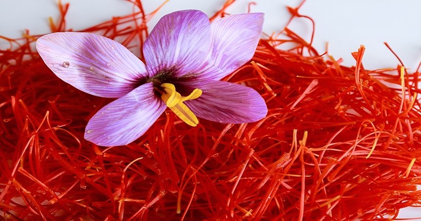 Afghan Saffron